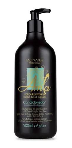 Kit Facinatus Line Amla Strength Resistance and Brightness - Facinatus - Image 4